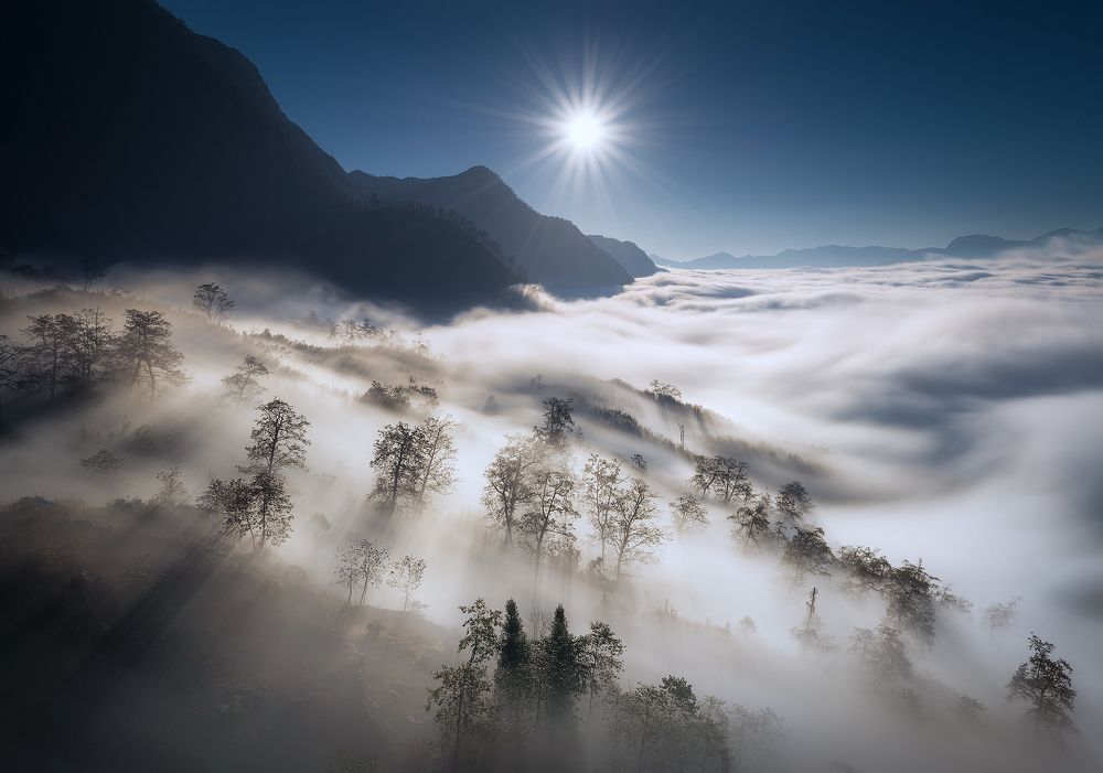 Luminous Fog
