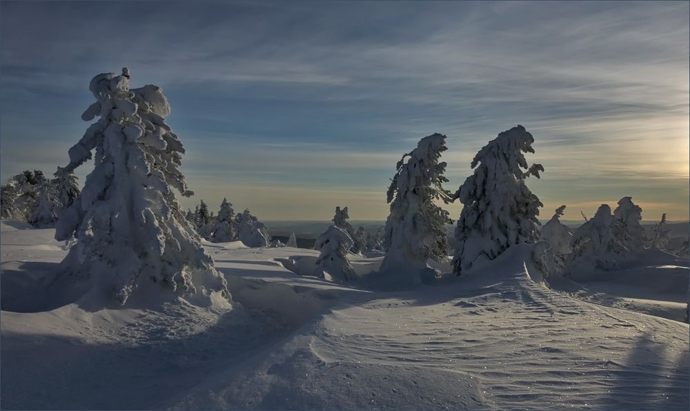 Призраки леса