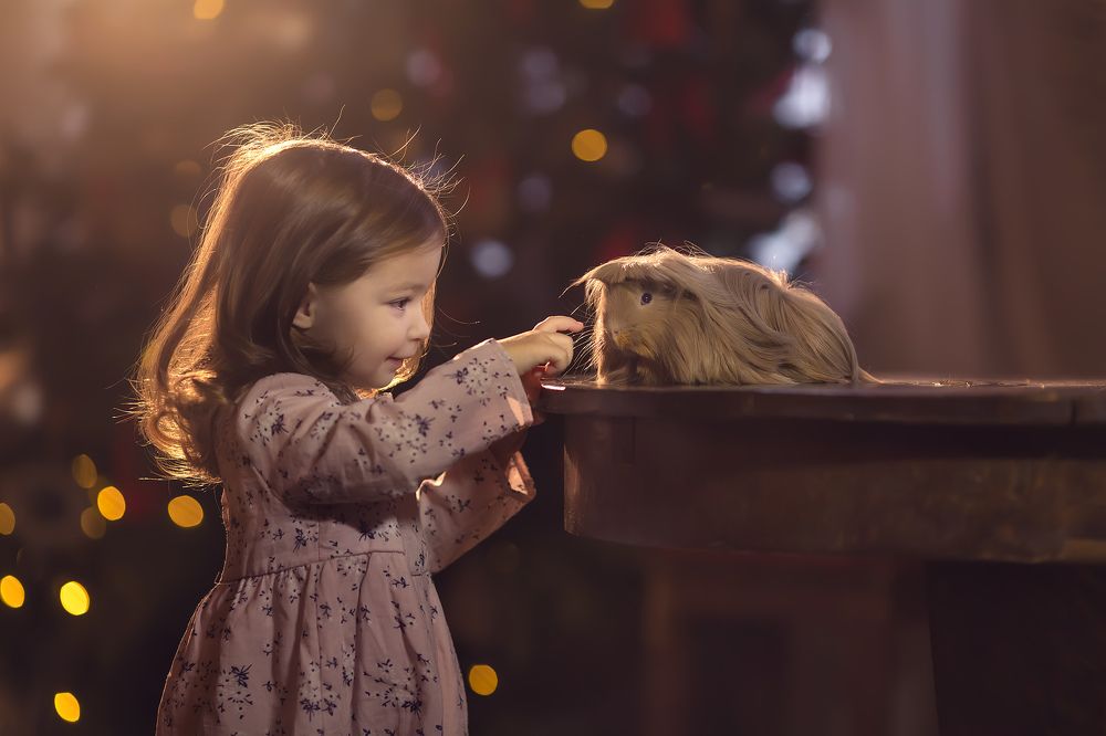 Photograph by Екатерина Бакута