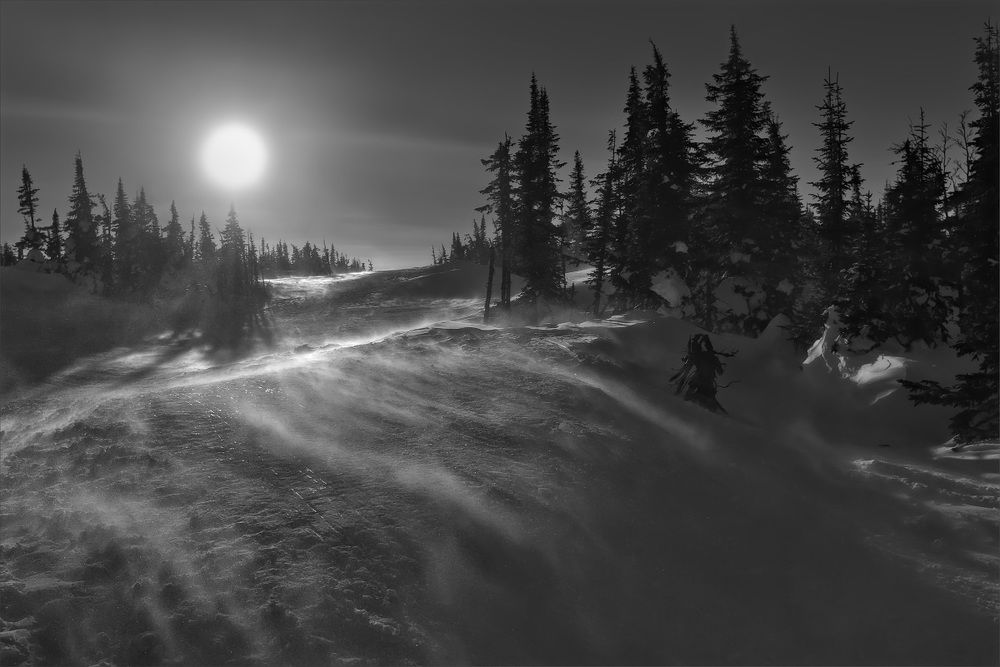 Зима Метель