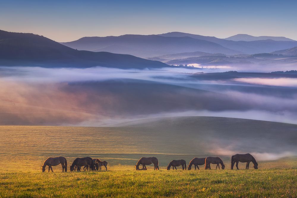 На рассвете