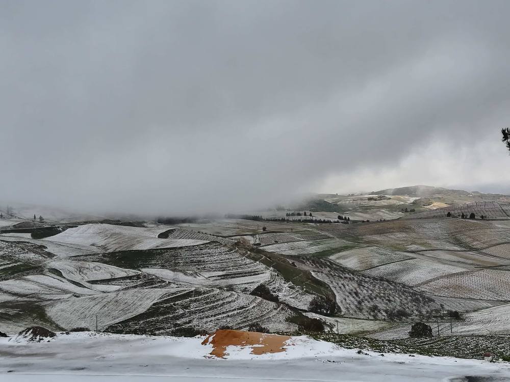 Ben Chicao 1- Algeria