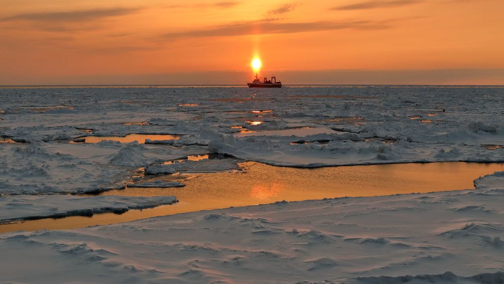 рыжий закат