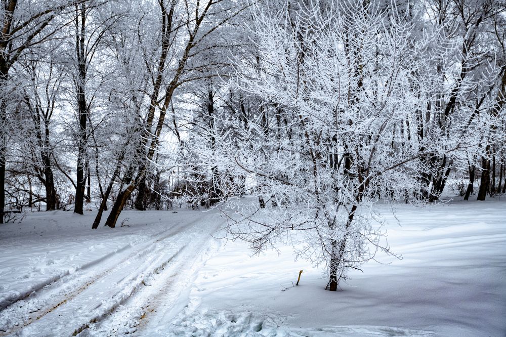 Похолодало