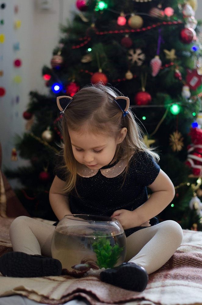 Детское любопытство