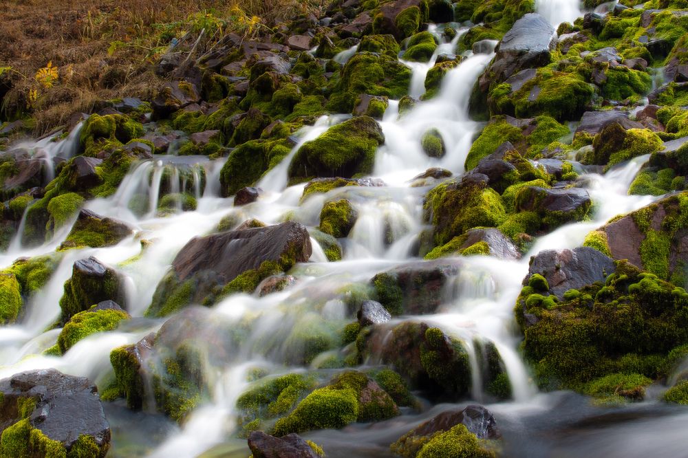 Река Кегети. Начало