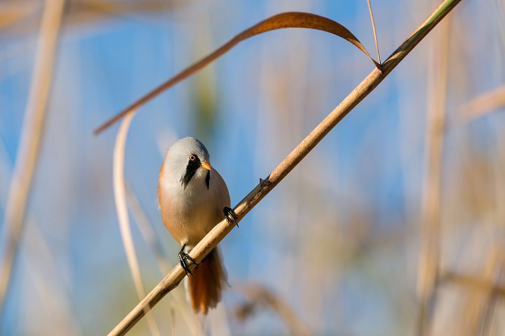 Photograph by Марина