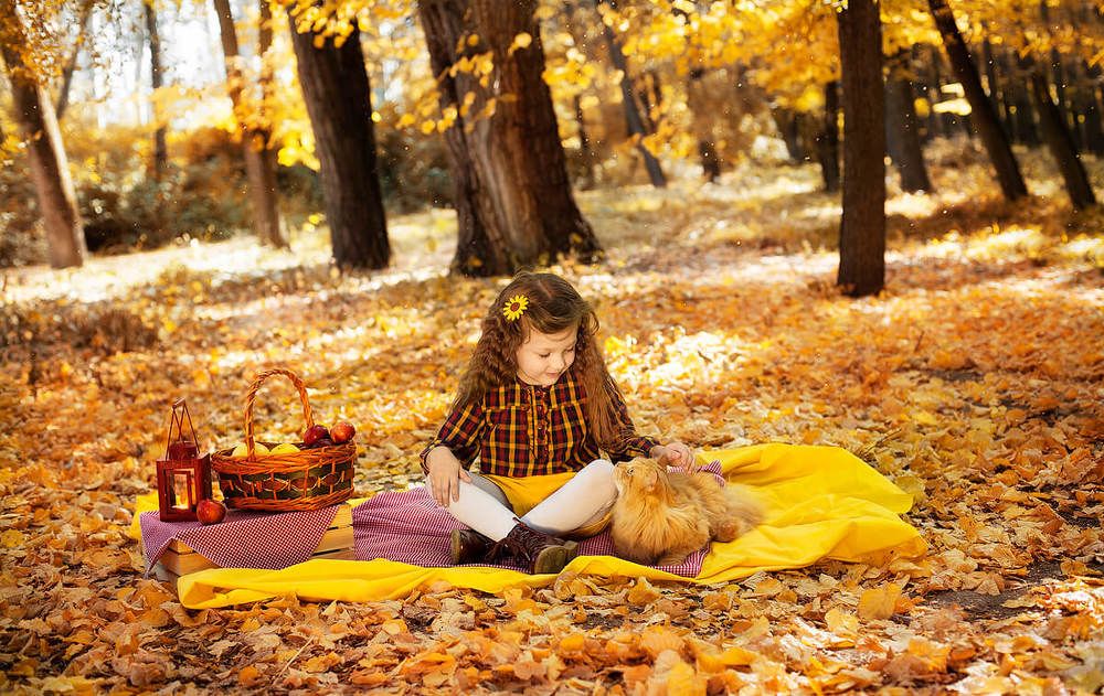 Осень Бишкека, 2018