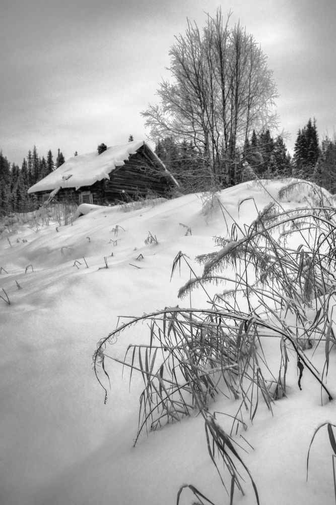 У леса, на опушке..