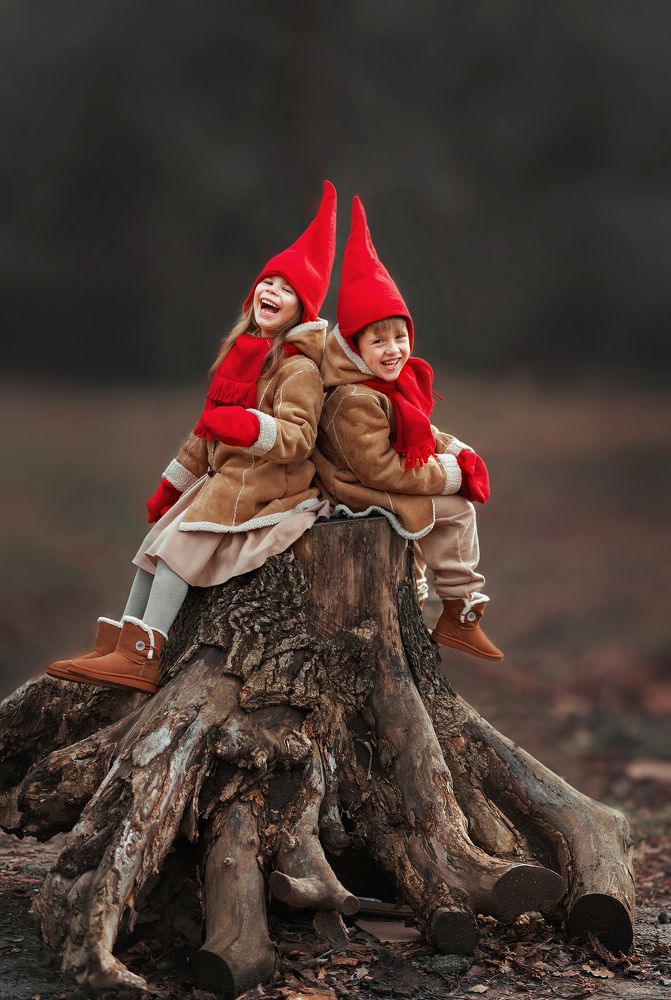 Сказочные гномы