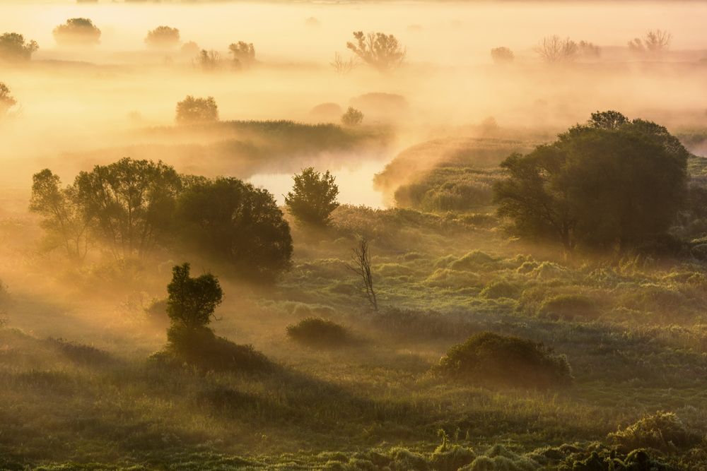 Приземлённые облака