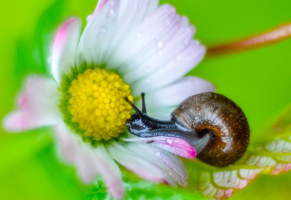 Photograph by Олеся zme