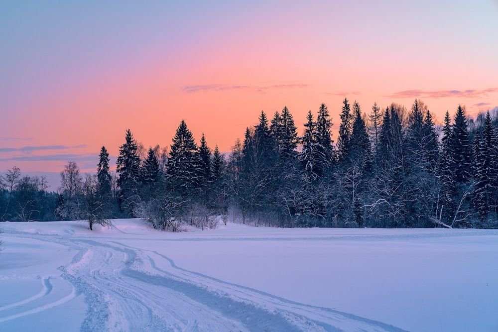 In the depth of winter