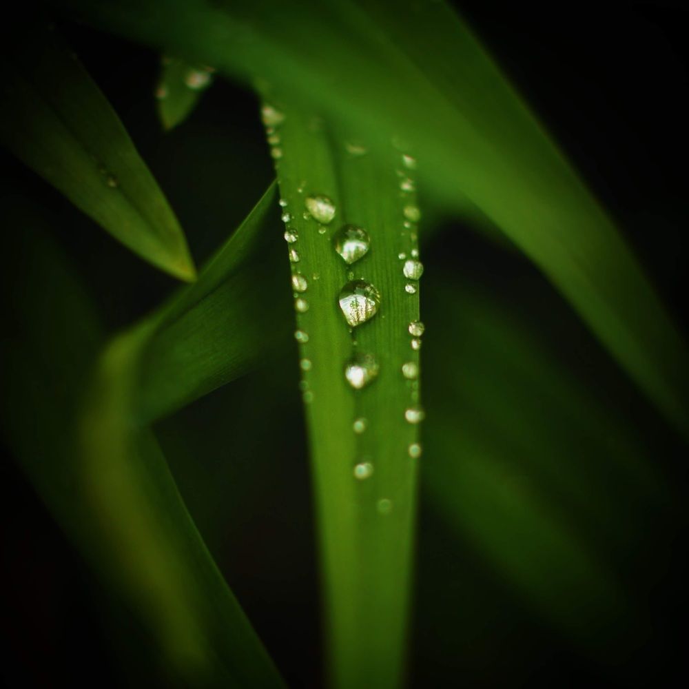 После дождя.