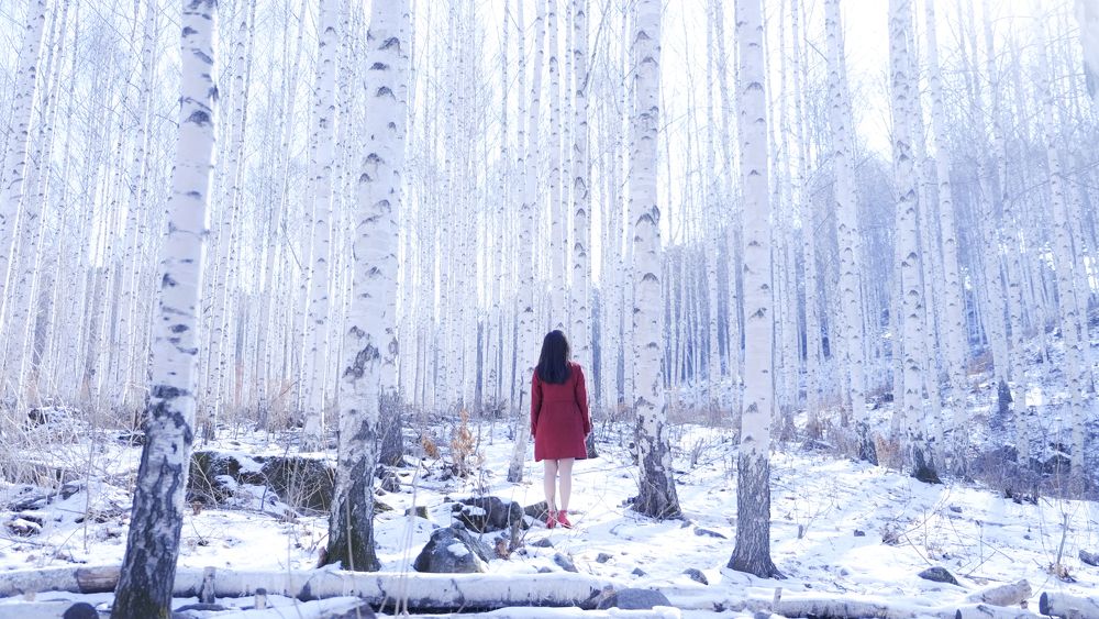 The girl in red dress