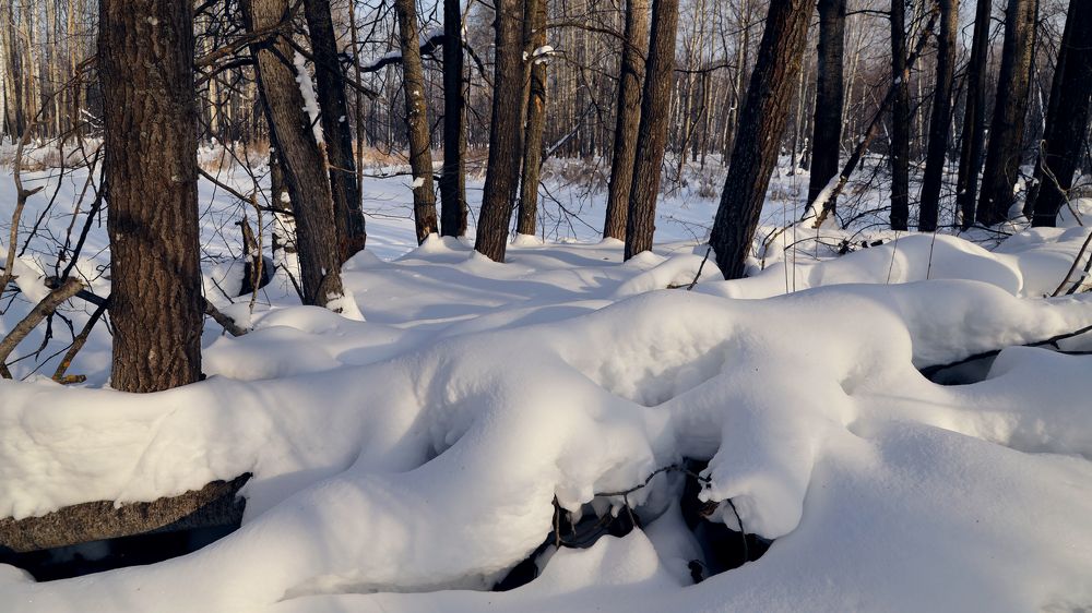 Снежное одеяло