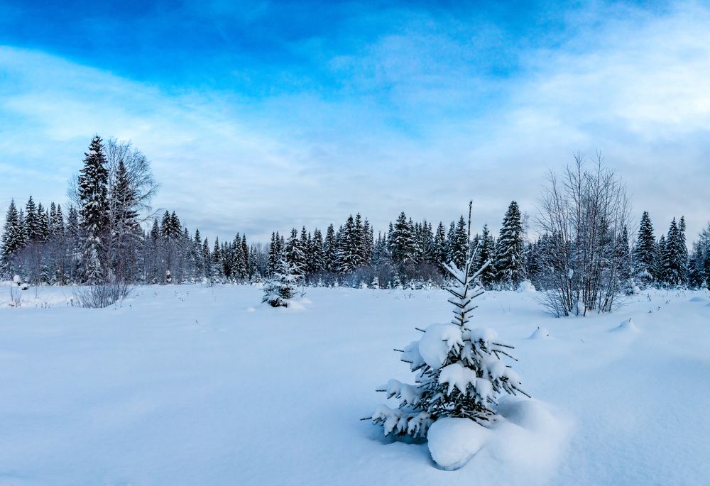 Photograph by Алексей Кашин