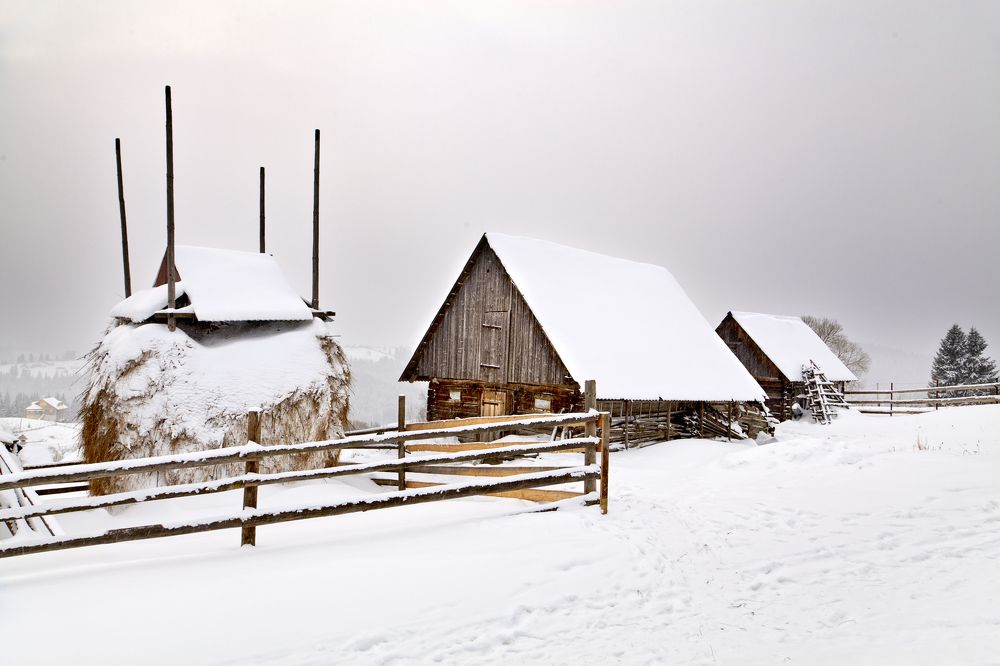 Photograph by Юлия Рублевская