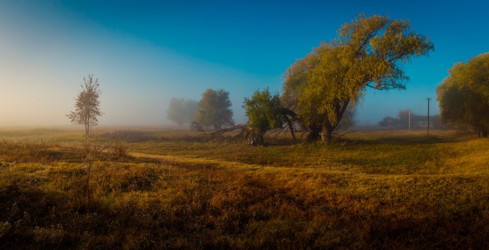 Photograph by Алексей Кашин