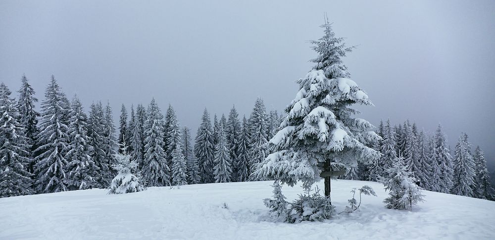 Photograph by Александр Фанковин