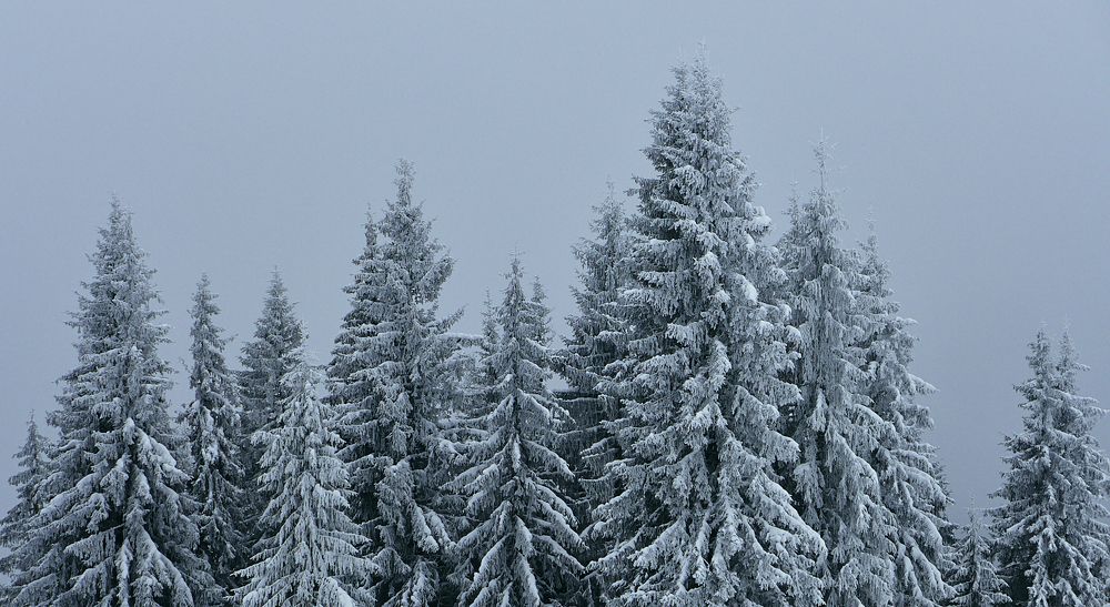 Photograph by Александр Фанковин