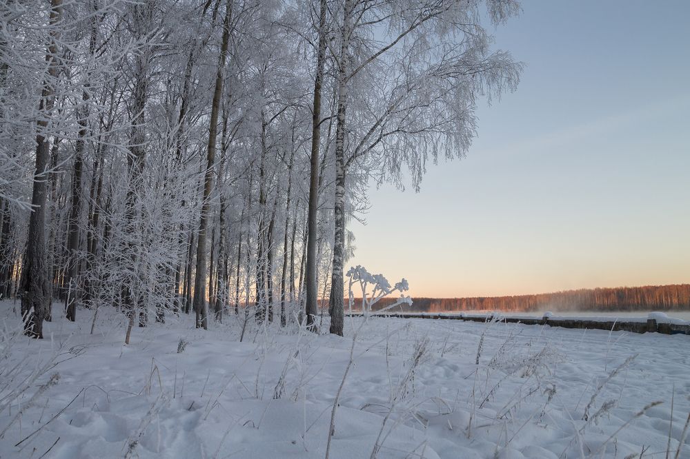 Photograph by Olga Denis