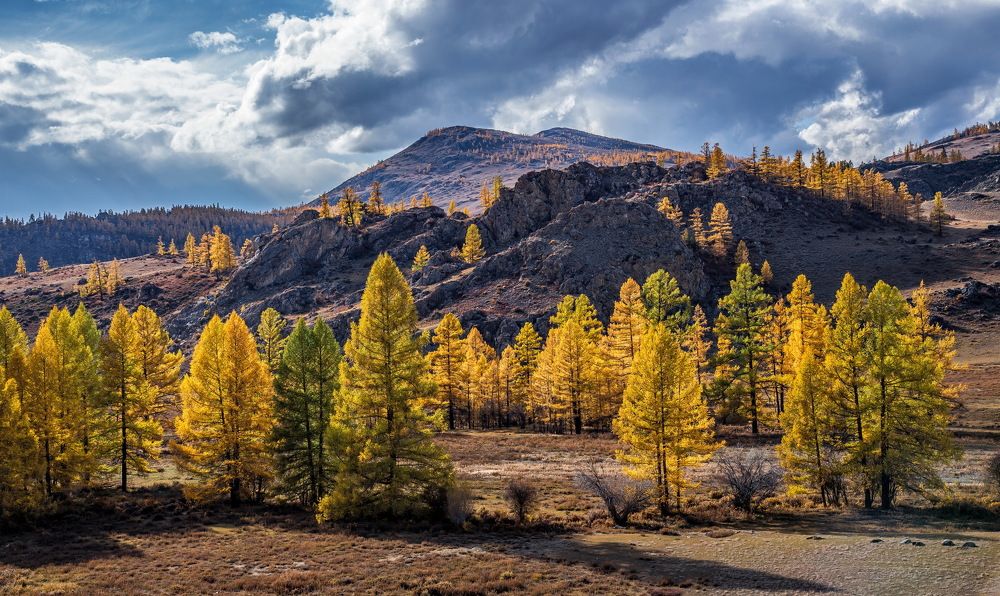 Алтайская   осень