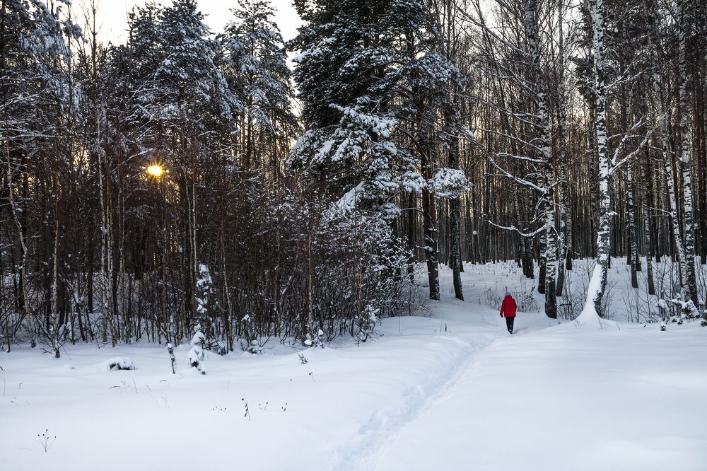 Photograph by Olga Denis