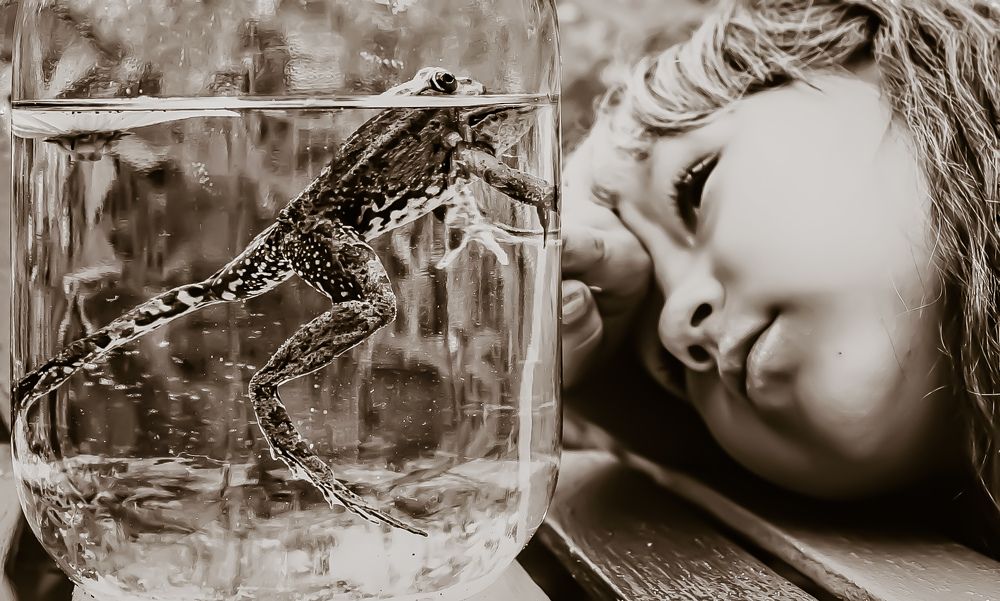 Thoughts of fairy tales