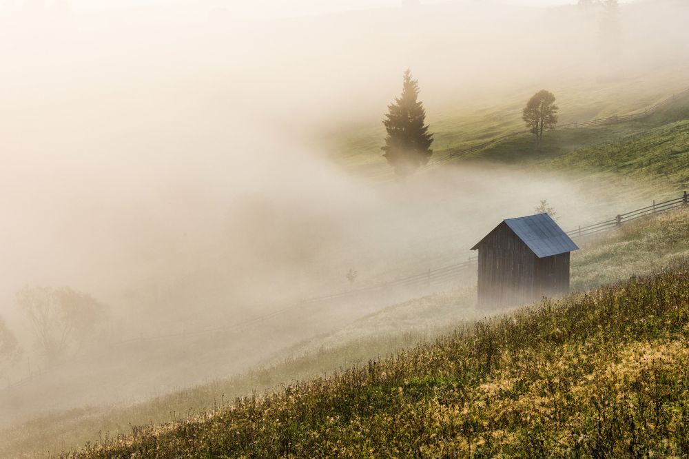 Photograph by Olari Ionut