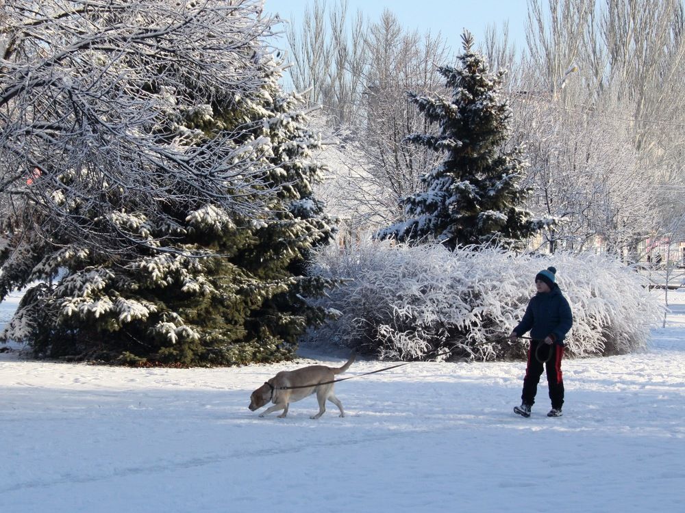Photograph by Igor Shevchuk