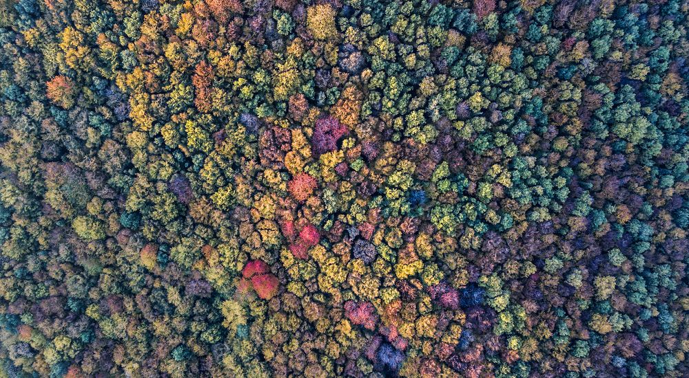 Photograph by Olari Ionut