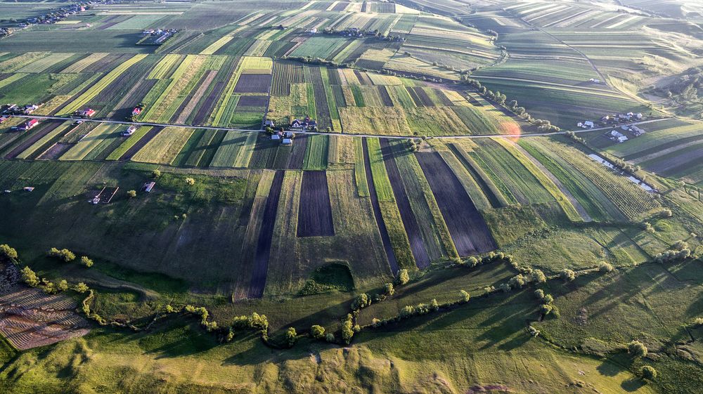 Photograph by Olari Ionut