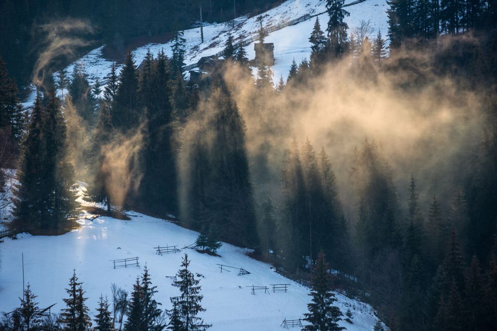 Photograph by Olari Ionut