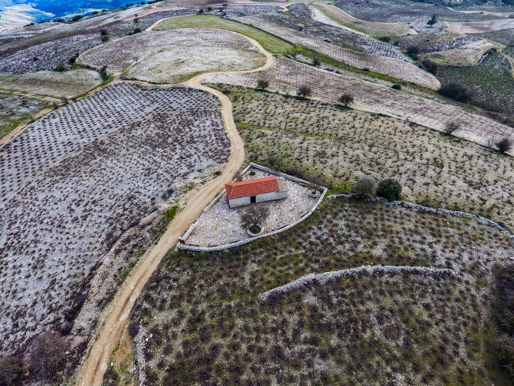 Chappel in the vimeyards