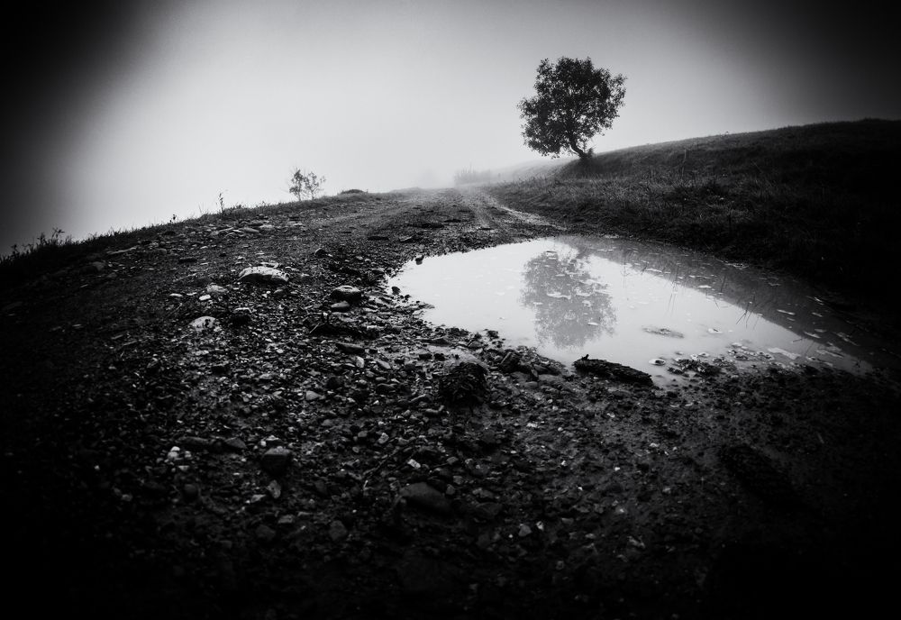 Photograph by Olari Ionut