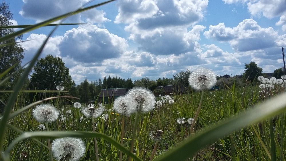 Photograph by Дмитрий Нестерович