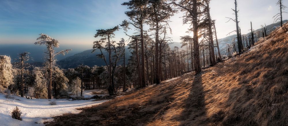 Граница зимы