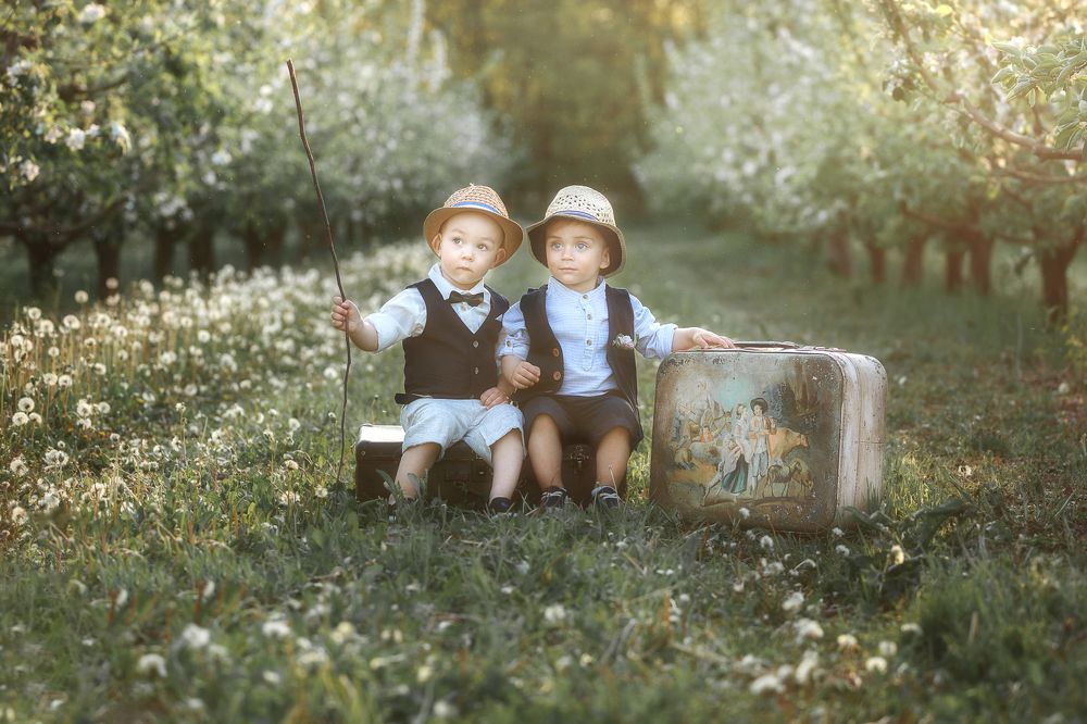 Приключения Тома Сойера и Гекльберри Финна