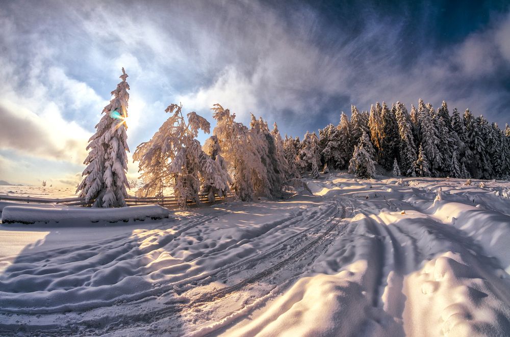 Photograph by Olari Ionut