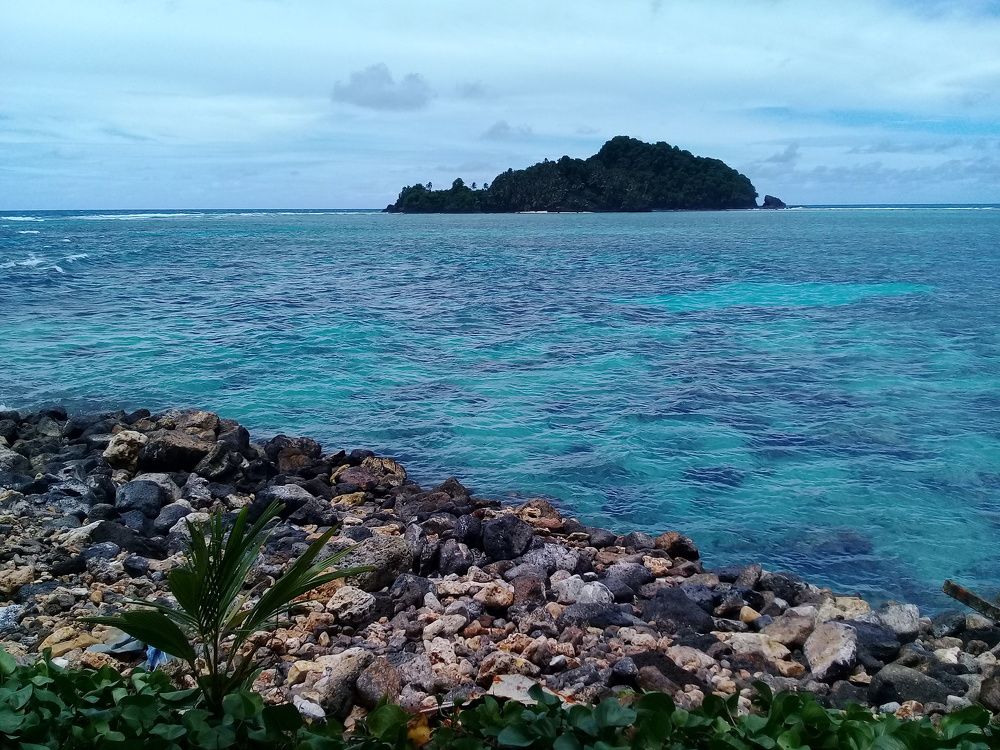 Oinafa warf