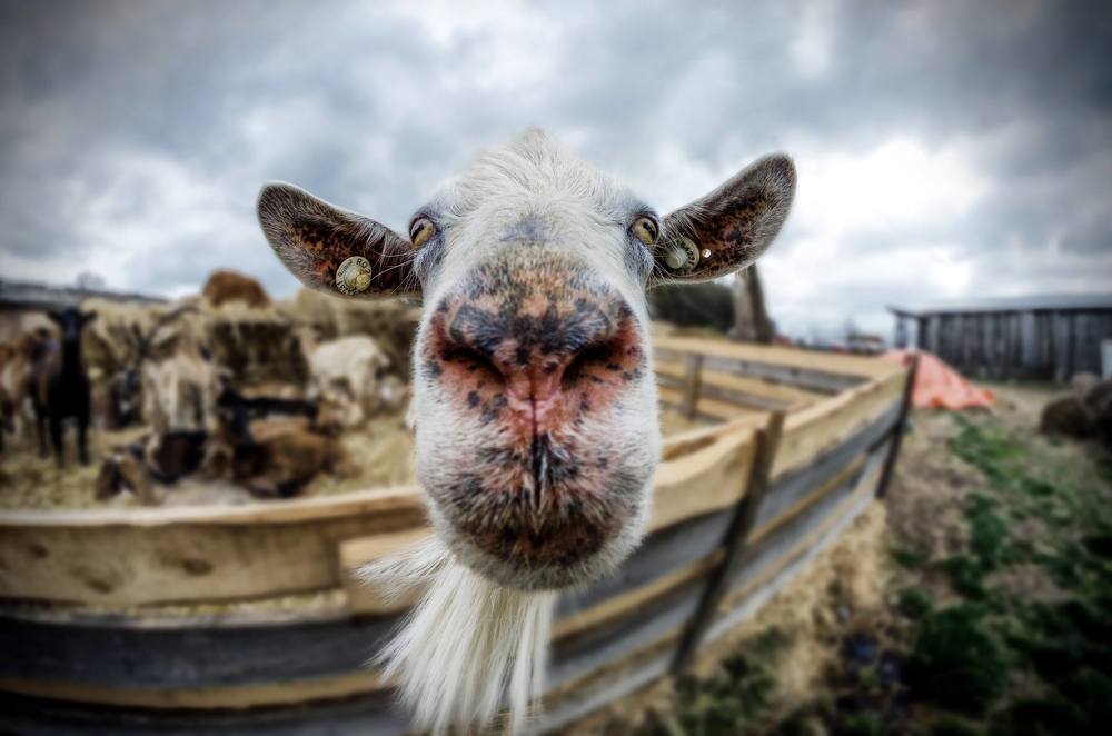 Photograph by Olari Ionut