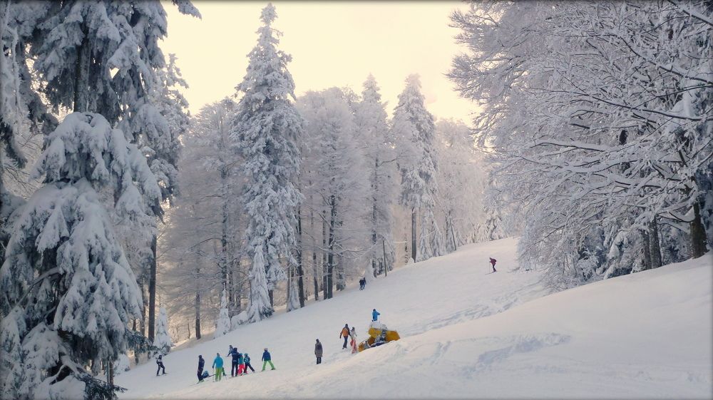 WINTER TALE & CHILDERN