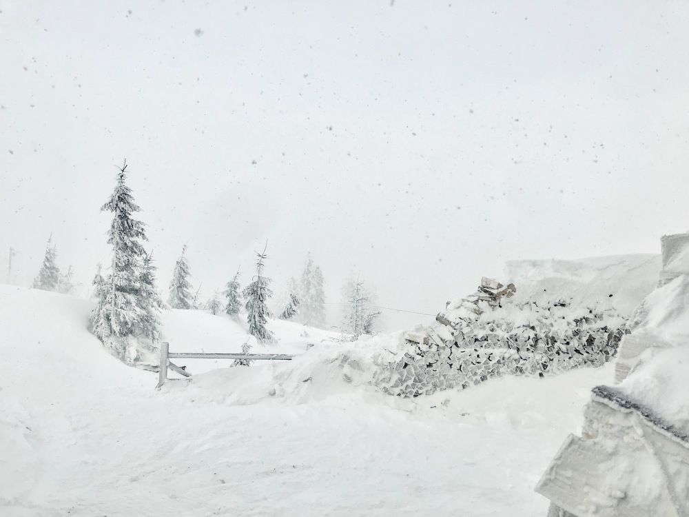 Photograph by Оксана Соколова