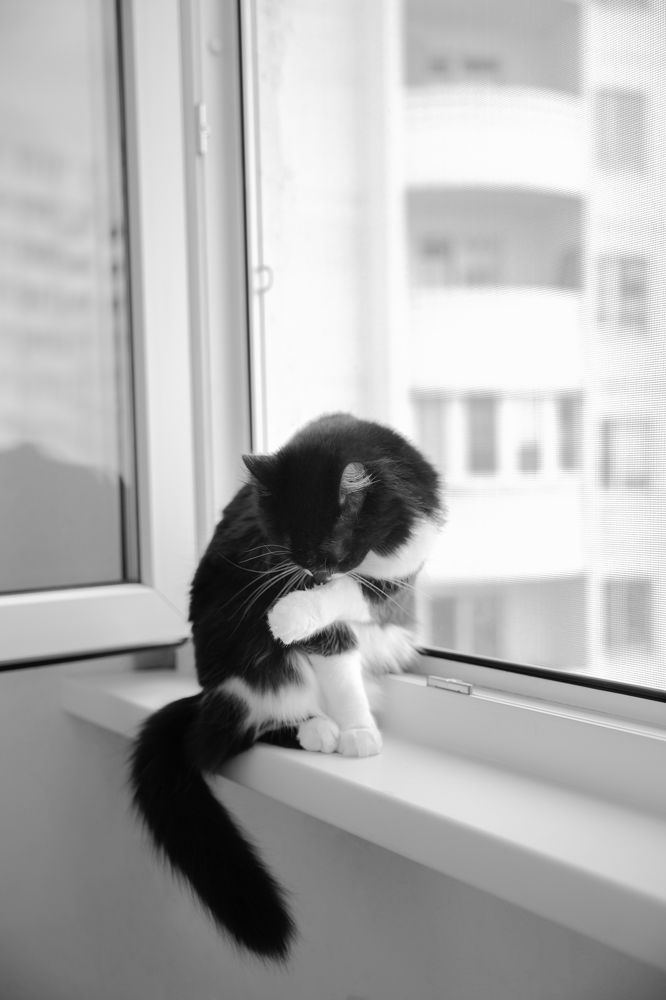 Photograph by  Anastasia