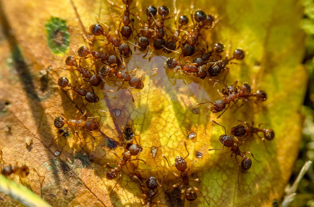 Photograph by Andrey Rut