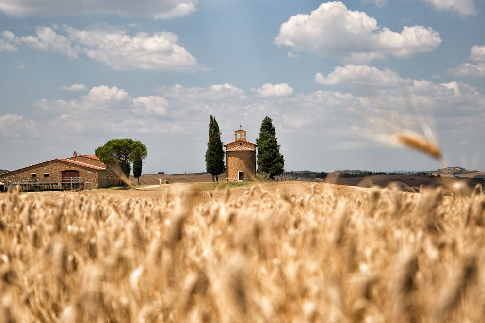 Photograph by Мария Трещева