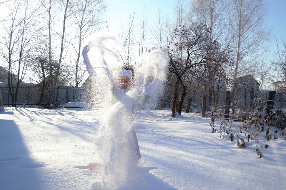 Прекрасный лебедь