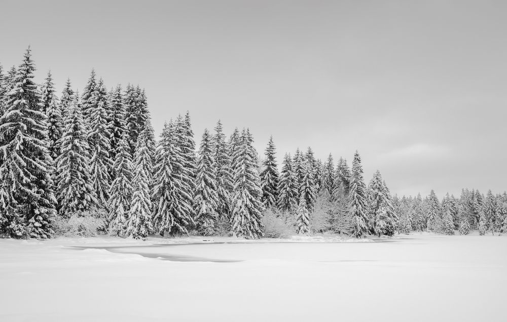 Photograph by Natalia