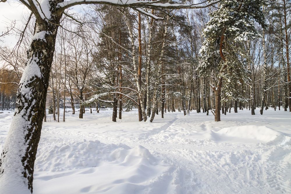 Photograph by Olga Denis